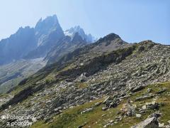 IMG_8863.jpg