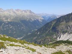 IMG_8864.jpg