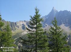 IMG_8870.jpg