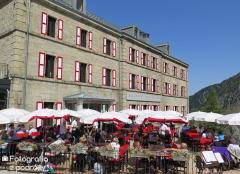 IMG_8873.jpg