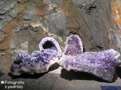 IMG_8876.jpg