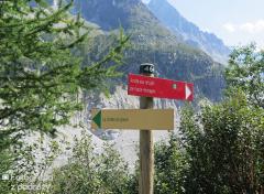 IMG_8884.jpg