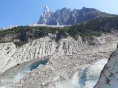 IMG_8895.jpg