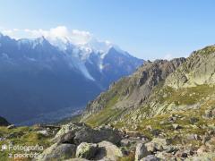 IMG_8923.jpg
