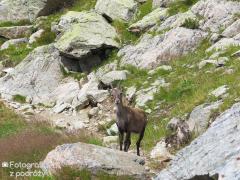 IMG_8943.jpg