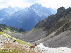 IMG_8960.jpg