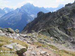 IMG_8976.jpg