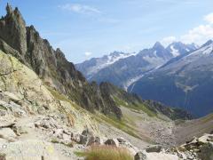 IMG_9015.jpg