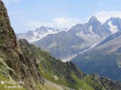 IMG_9024.jpg