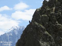IMG_9027.jpg