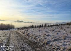 IMG_9862.jpg