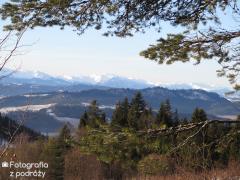 IMG_9876.jpg