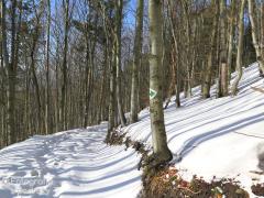 IMG_9894.jpg