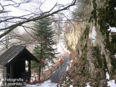 IMG_9998.jpg