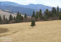Pieniny 2018 (31.03.2018)