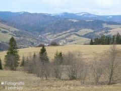 IMG_0075.jpg