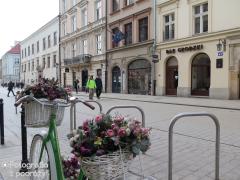 IMG_0117.jpg