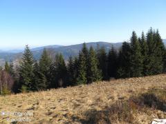 IMG_0128.jpg