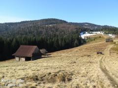IMG_0160.jpg