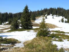 IMG_0185.jpg