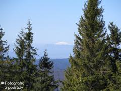 IMG_0199.jpg