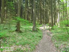IMG_0304.jpg