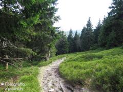 IMG_0343.jpg
