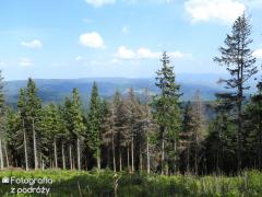 IMG_0352.jpg