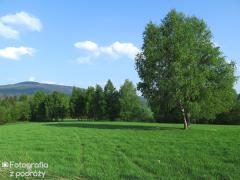 IMG_0366.jpg