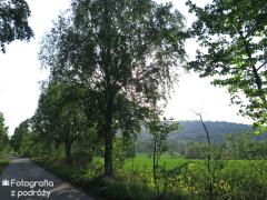 IMG_0369.jpg
