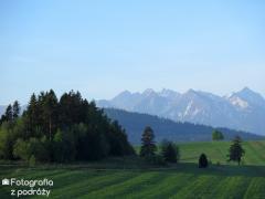 IMG_0519.jpg