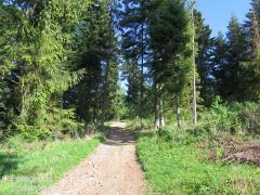IMG_0587.jpg