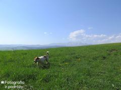 IMG_0603.jpg