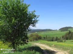 IMG_0618.jpg