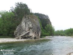 IMG_0659.jpg