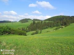 IMG_0702.jpg