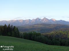 IMG_0931.jpg