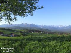 IMG_1003.jpg