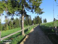 IMG_1022.jpg