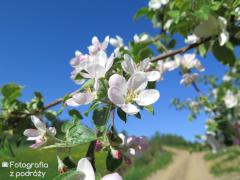IMG_1064.jpg