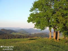IMG_1090.jpg
