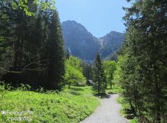 IMG_1165.jpg