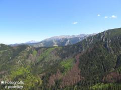 IMG_1199.jpg