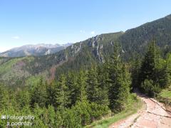 IMG_1223.jpg
