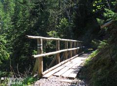 IMG_1237.jpg