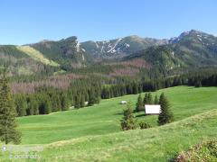 IMG_1262.jpg