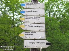 IMG_1289.jpg