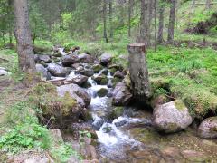 IMG_1293.jpg