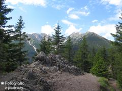 IMG_1394.jpg