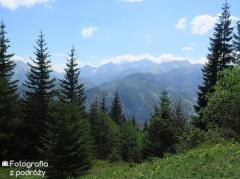 IMG_1429.jpg